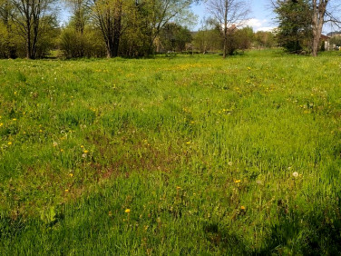Działka budowlana Pietrzykowice