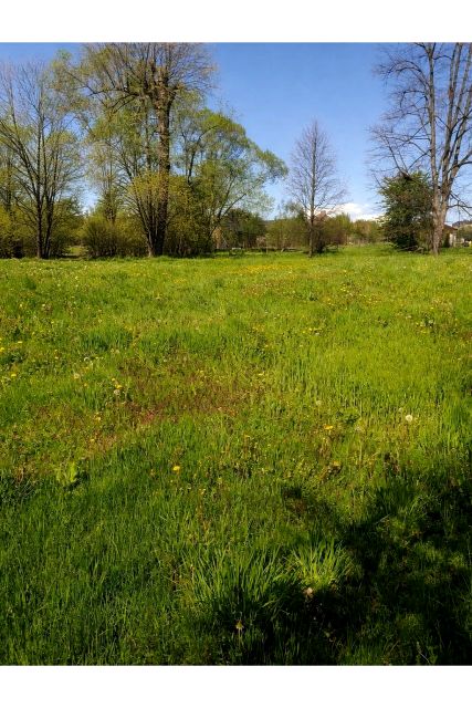 Działka budowlana Pietrzykowice