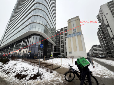 Lokal Warszawa
