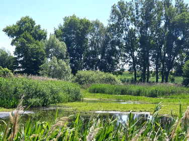 Działka budowlana Połajewek