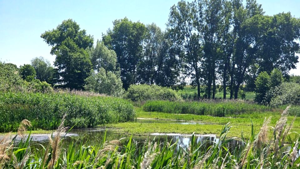 Działka budowlana Połajewek