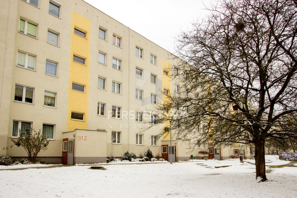 Mieszkanie Zielona Góra