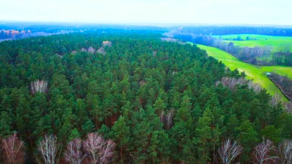 Działka budowlana Czersk Świecki