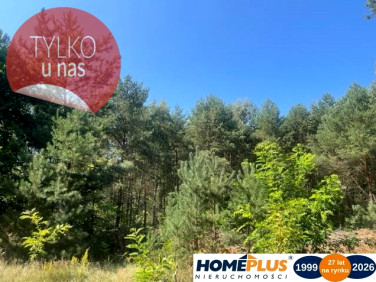 Działka budowlana Wola Rasztowska