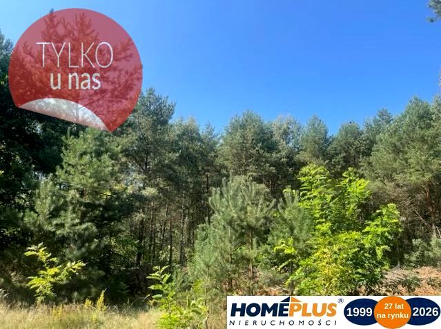 Działka budowlana Wola Rasztowska