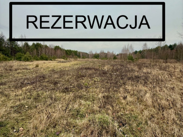 Działka usługowa Karakule