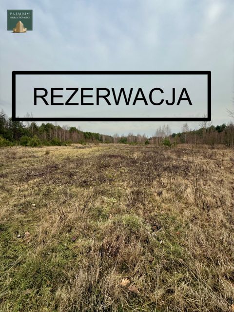 Działka usługowa Karakule