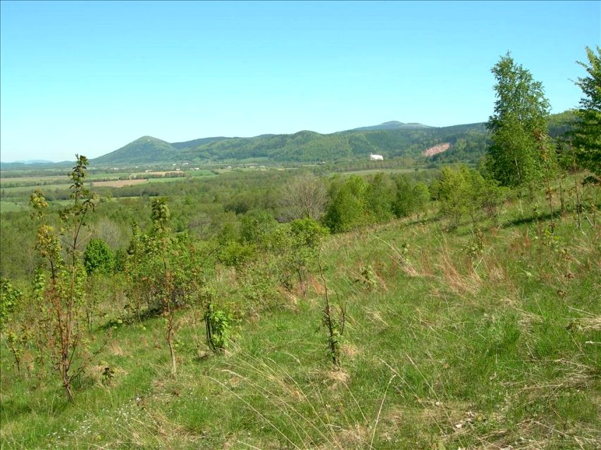 Działka rolna Bystrzyca Kłodzka