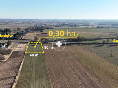 Działka usługowa Alojzów sprzedam