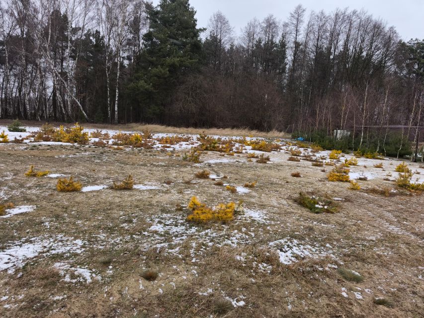 Działka budowlano-rolna Gorzewo