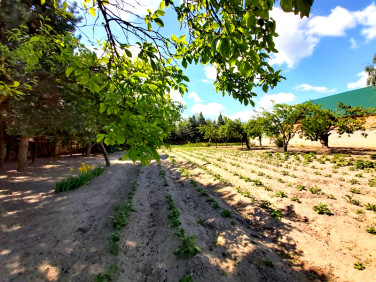 Działka budowlana Żakowo
