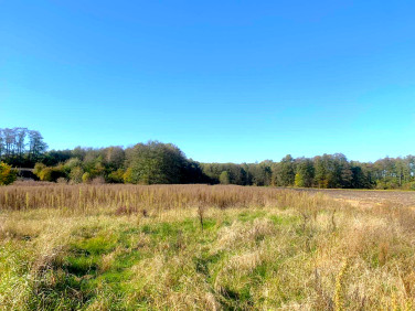 Działka budowlana Nowe Paprockie Holendry