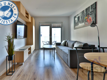 Mieszkanie Sosnowiec wynajem