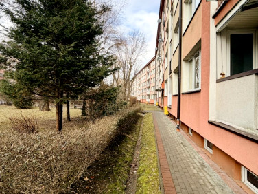 Mieszkanie Bielsko-Biała