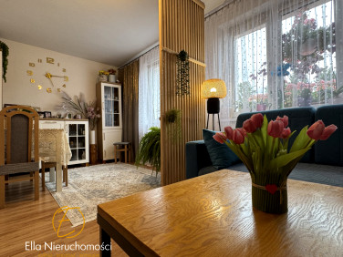 Mieszkanie Świerzawa sprzedaż