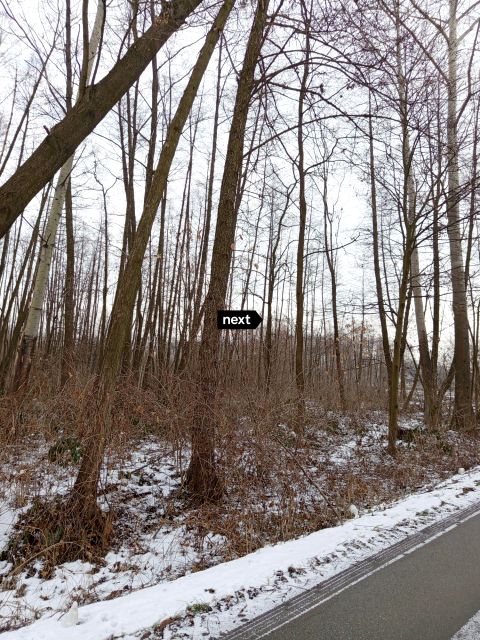 Zalesiona działka Delastowice