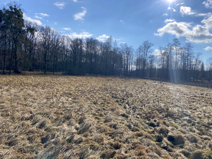 Działka budowlana Kiczyce