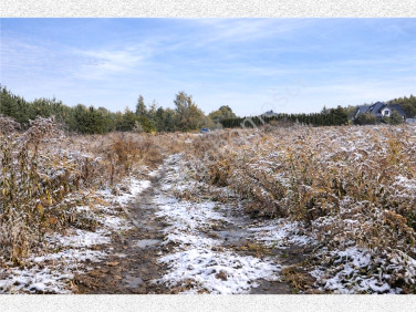 Działka Książenice
