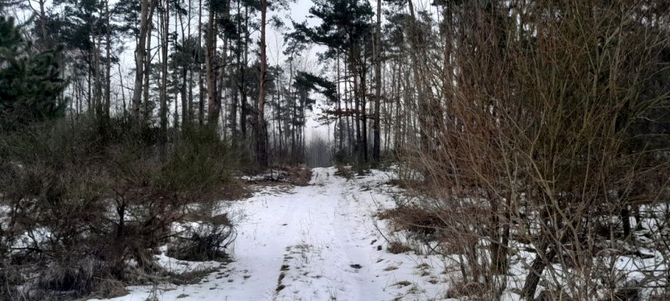 Działka inwestycyjna Gucin