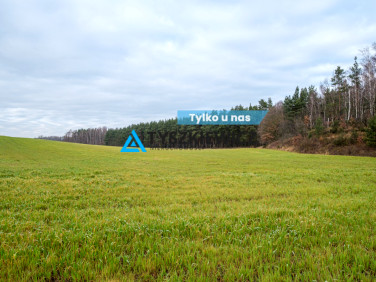 Działka Pierwoszyno