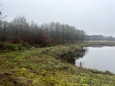 Działka rolna Żulin