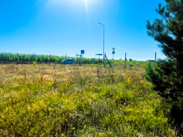 Działka nad jeziorem