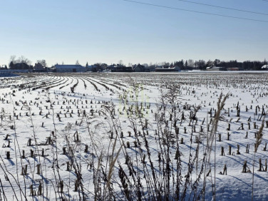 Działka inwestycyjna Błonie