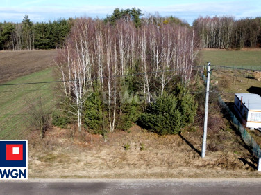 Działka budowlana Koski Pierwsze