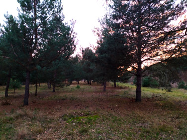 Działka budowlana OSOWIEC sprzedam