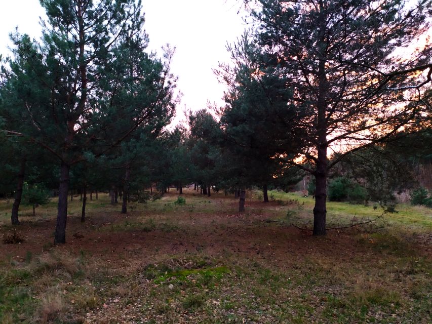 Działka budowlana OSOWIEC sprzedam