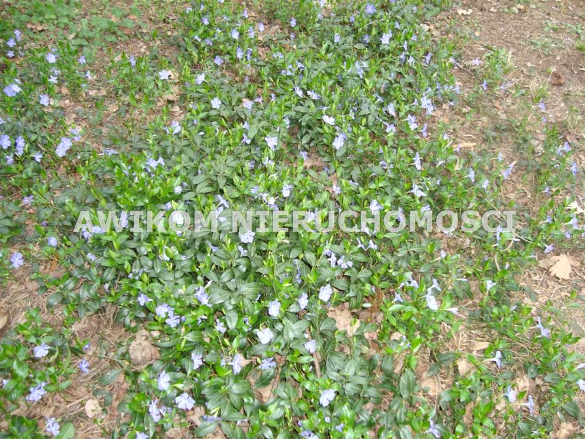 Pusta działka Ojrzanów