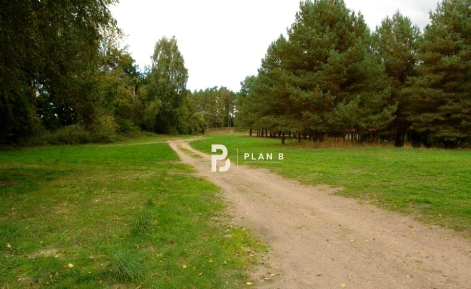 Zdjęcie 2