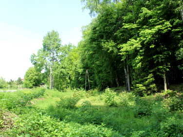 Działka leśna Jawczyce