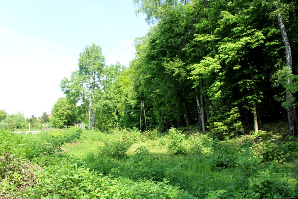 Działka leśna Jawczyce