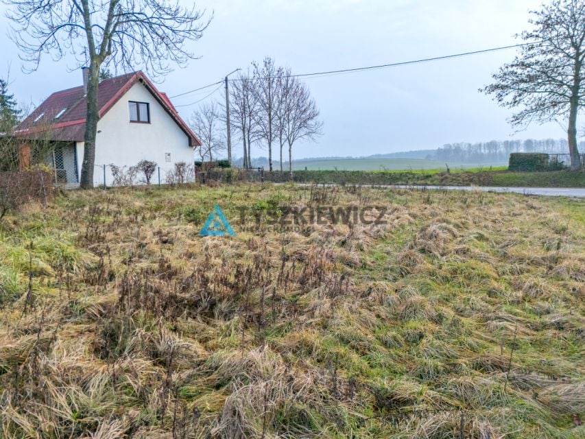 Zdjęcie 3