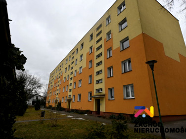 Mieszkanie Zielona Góra