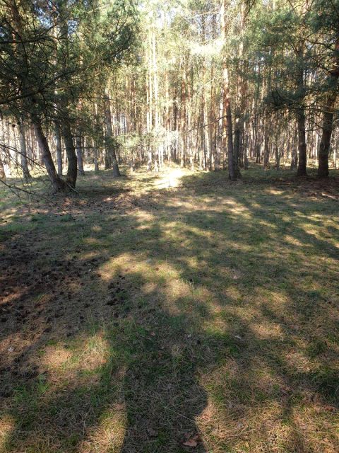 Działka rekreacyjna sprzedam