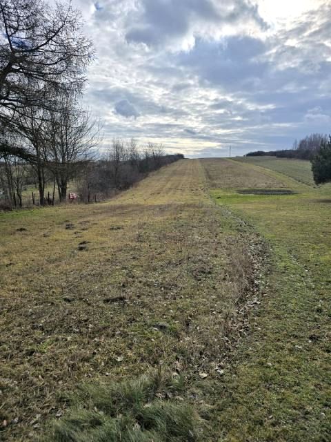 Działka budowlano-rolna Przeczyce