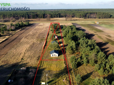 Działka rolna Anastazewo