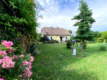 Dom wolnostojący sprzedaż