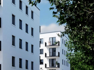 Lokal Zielona Góra wynajem