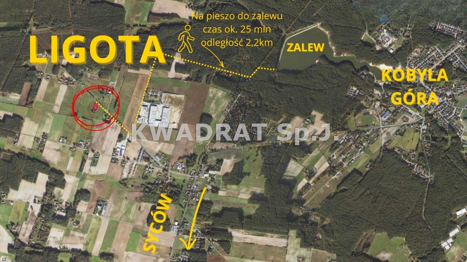 Zdjęcie 3