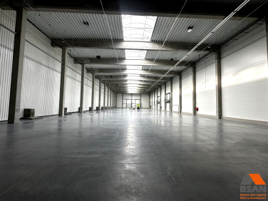 Budynek użytkowy Bielsko-Biała