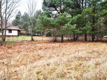 Działka budowlana Pieńki