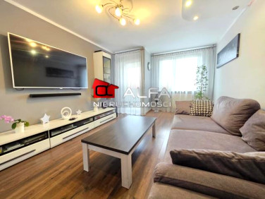 Mieszkanie Świdnica