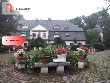 Lokal Wziąchowo Wielkie