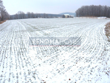 Działka inna Myślinów