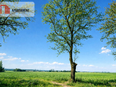 Działka inna Radomice