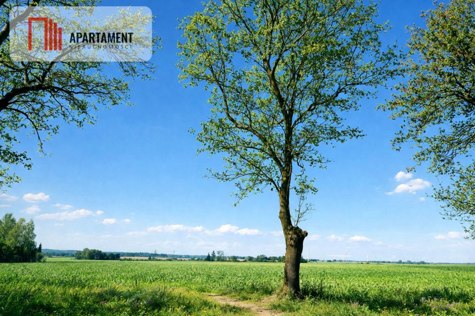 Działka inna Radomice