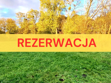 Działka budowlana Rogów sprzedam